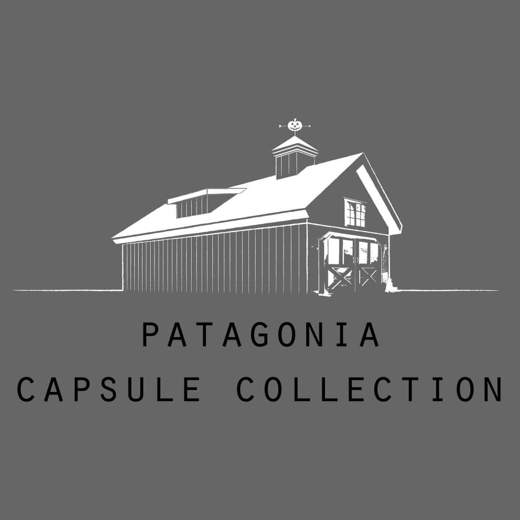 Patagonia Capsule Collection The Thirty-First Co.